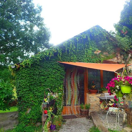 Mas De La Boheme - L'Hermet Bed & Breakfast Saint-Léons Екстериор снимка